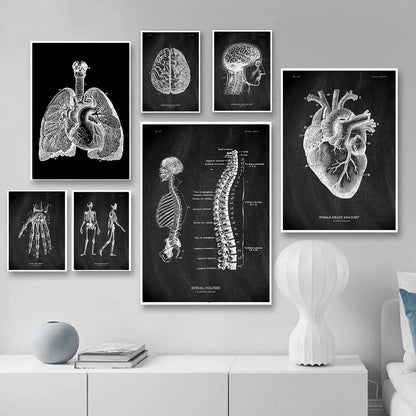 Human Body Organs Heart Teaching Poster Anatomy Art Skeleton Canvas Painting For Living Room Wall Decorative Pictures Home Decor - NICEART