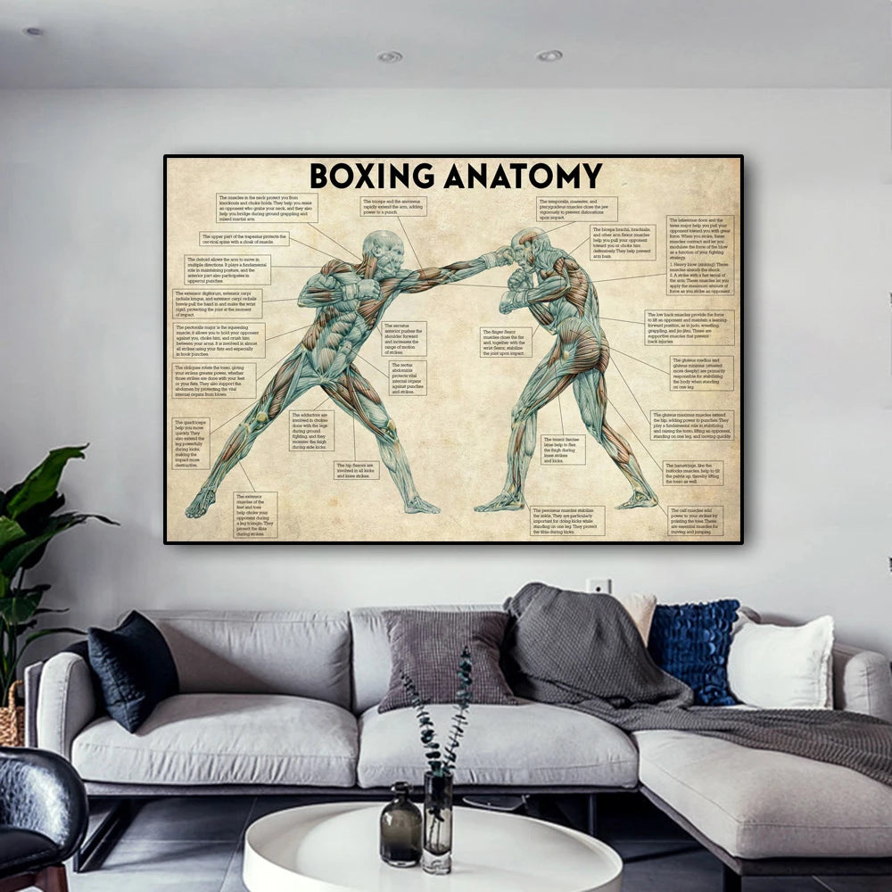 Vintage Boxing Body Anatomy Posters and Prints Wall Art Canvas Painting Boxing Lover Gift for Gym Room Cuadros Home Decoration - niceart
