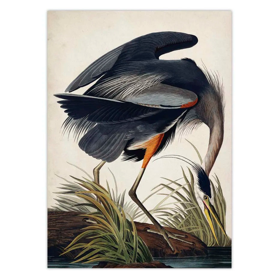 Vintage Bird Canvas Print Audubon Bird Posters Pink Flamingo Snowy Owl Pelican Blue Heron White Egret Canvas Painting Wall Art - NICEART