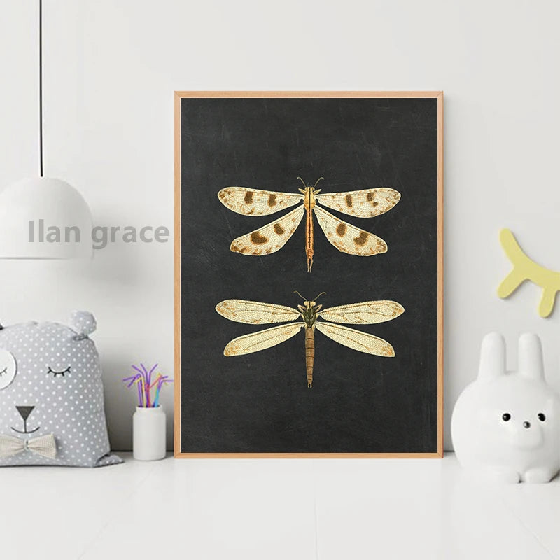 Moth Nature Insect Prints Vintage Poster Home Wall Decor , Animal Educational Picture Canvas Painting Kids Room Art Decoration - NICEART