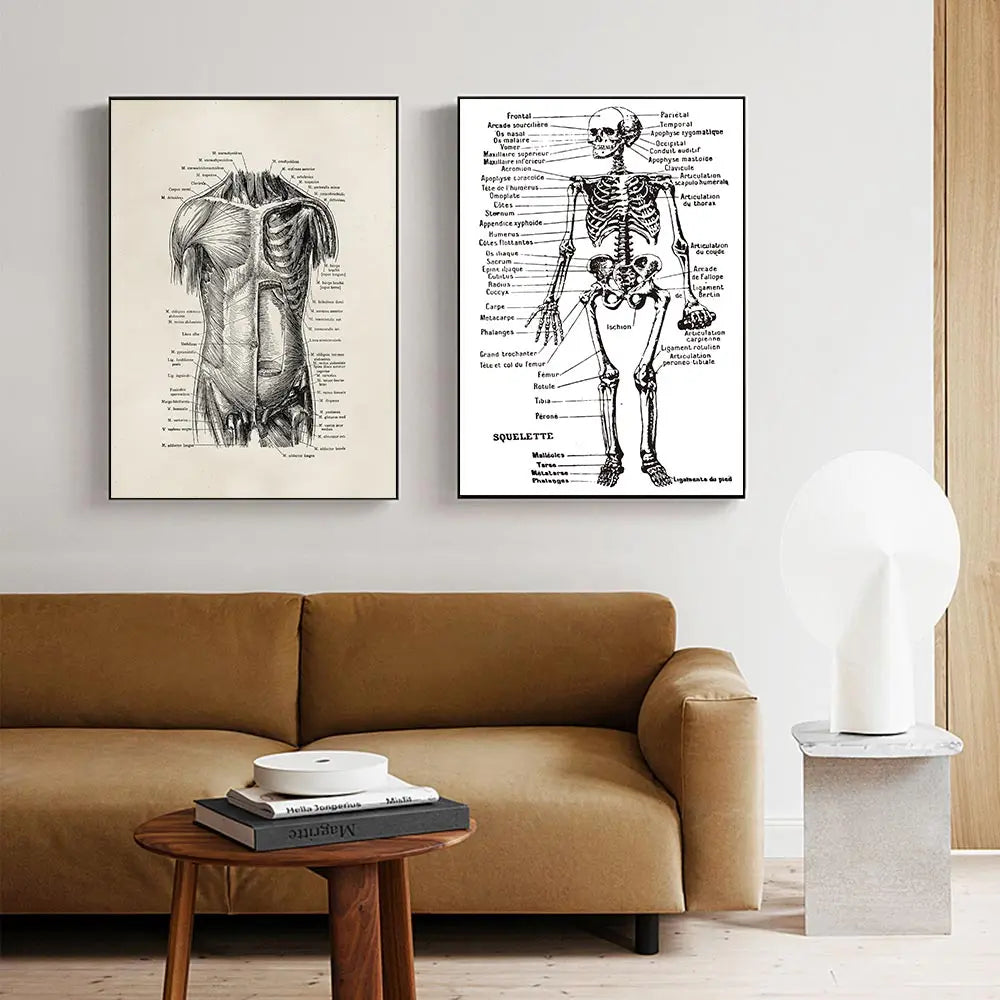 Human Body Organs Heart Teaching Poster Anatomy Art Skeleton Canvas Painting For Living Room Wall Decorative Pictures Home Decor - NICEART