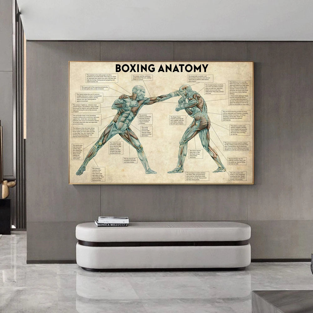 Vintage Boxing Body Anatomy Posters and Prints Wall Art Canvas Painting Boxing Lover Gift for Gym Room Cuadros Home Decoration - niceart
