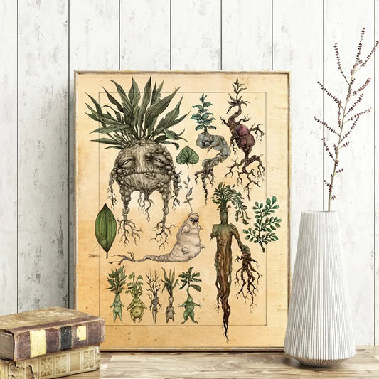 Harry Fan Art Illustration Cute Mandrake Plant Decor Canvas Painting Wall Picture , Classic Movie Poster Kids Room Decor - niceart