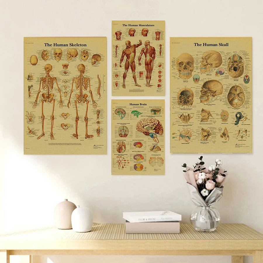 Anatomy and Physiology The Body Structure Poster Skeleton Retro Kraft Paper Sticker Vintage Room Medical Decor Art Wall Painting - niceart