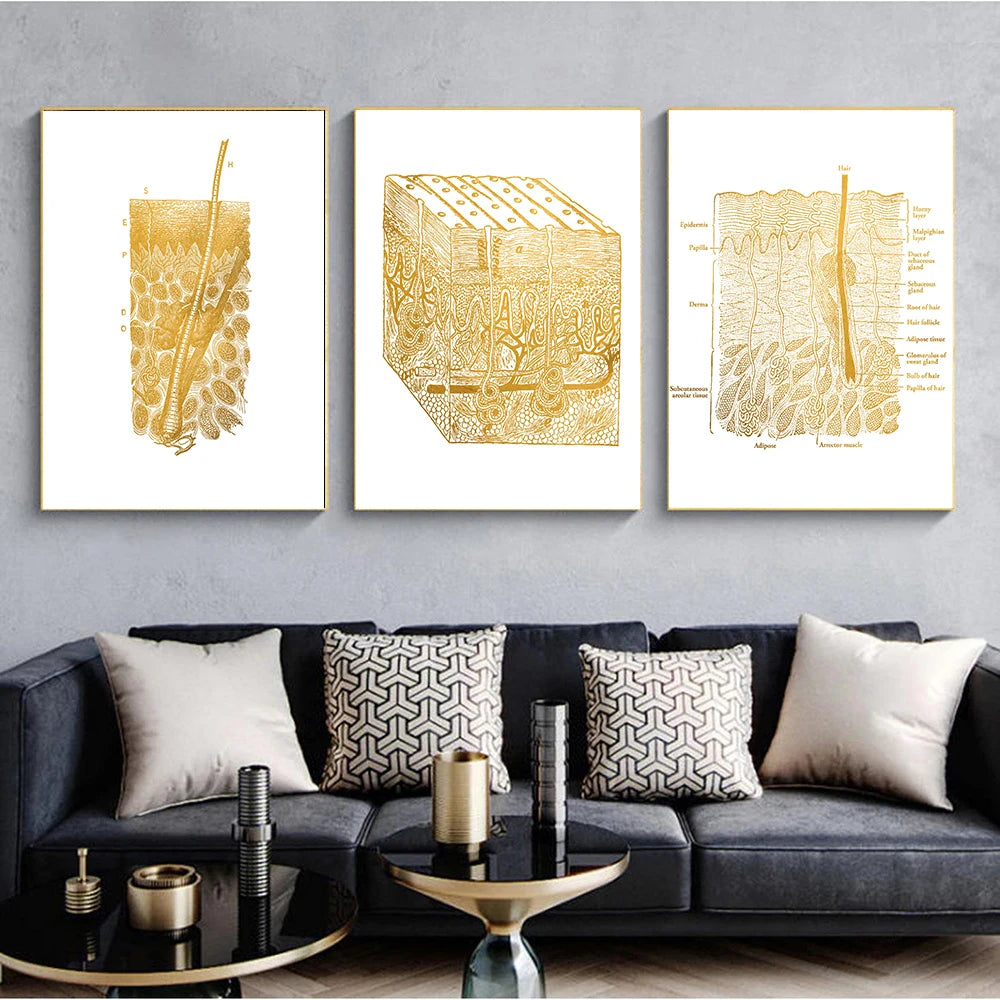 Gold Skin Anatomy Dissection Histology Anatomical Charts Posters Canvas print Wall Pictures for Medical Education Home Decor - NICEART