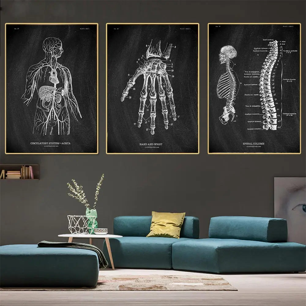 Human Body Organs Heart Teaching Poster Anatomy Art Skeleton Canvas Painting For Living Room Wall Decorative Pictures Home Decor - NICEART