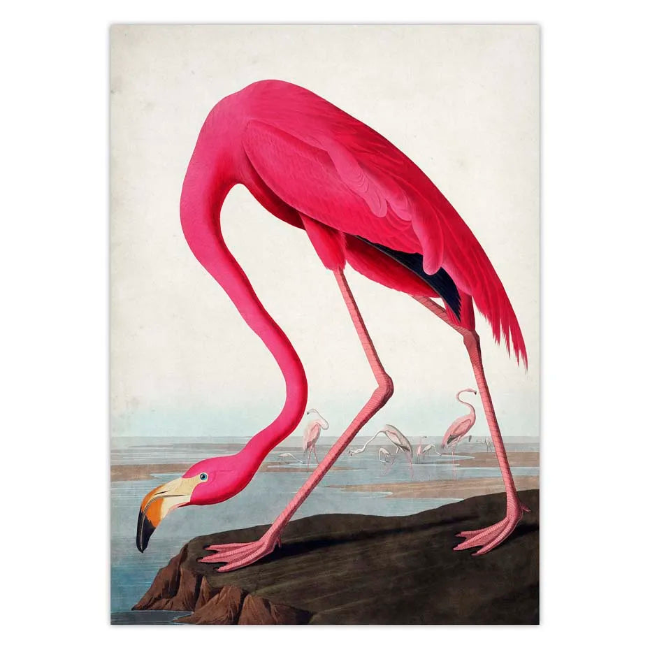 Vintage Bird Canvas Print Audubon Bird Posters Pink Flamingo Snowy Owl Pelican Blue Heron White Egret Canvas Painting Wall Art - NICEART