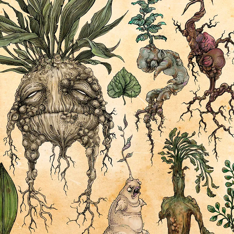 Harry Fan Art Illustration Cute Mandrake Plant Decor Canvas Painting Wall Picture , Classic Movie Poster Kids Room Decor - niceart