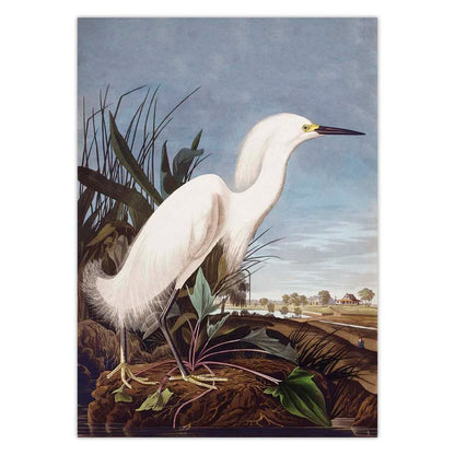 Vintage Bird Canvas Print Audubon Bird Posters Pink Flamingo Snowy Owl Pelican Blue Heron White Egret Canvas Painting Wall Art - NICEART