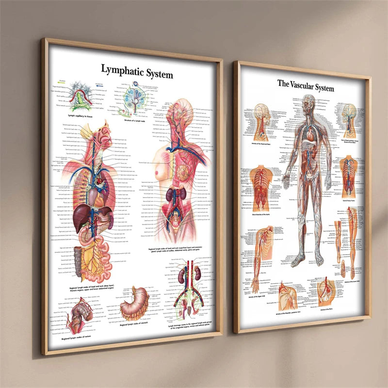 Human Body science school education TRIGGER POINTS CHART INFORMATIONAL ANATOMY Decoration Art Decor Painting Canvas Poster - NICEART