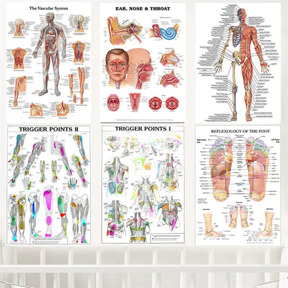 Human Body science school education TRIGGER POINTS CHART INFORMATIONAL ANATOMY Decoration Art Decor Painting Canvas Poster - NICEART