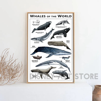 Whales of the World Poster Whale Species Illustrations Art Print Educational Ocean Wall Art Canvas Painting Homeschool Decor - NICEART