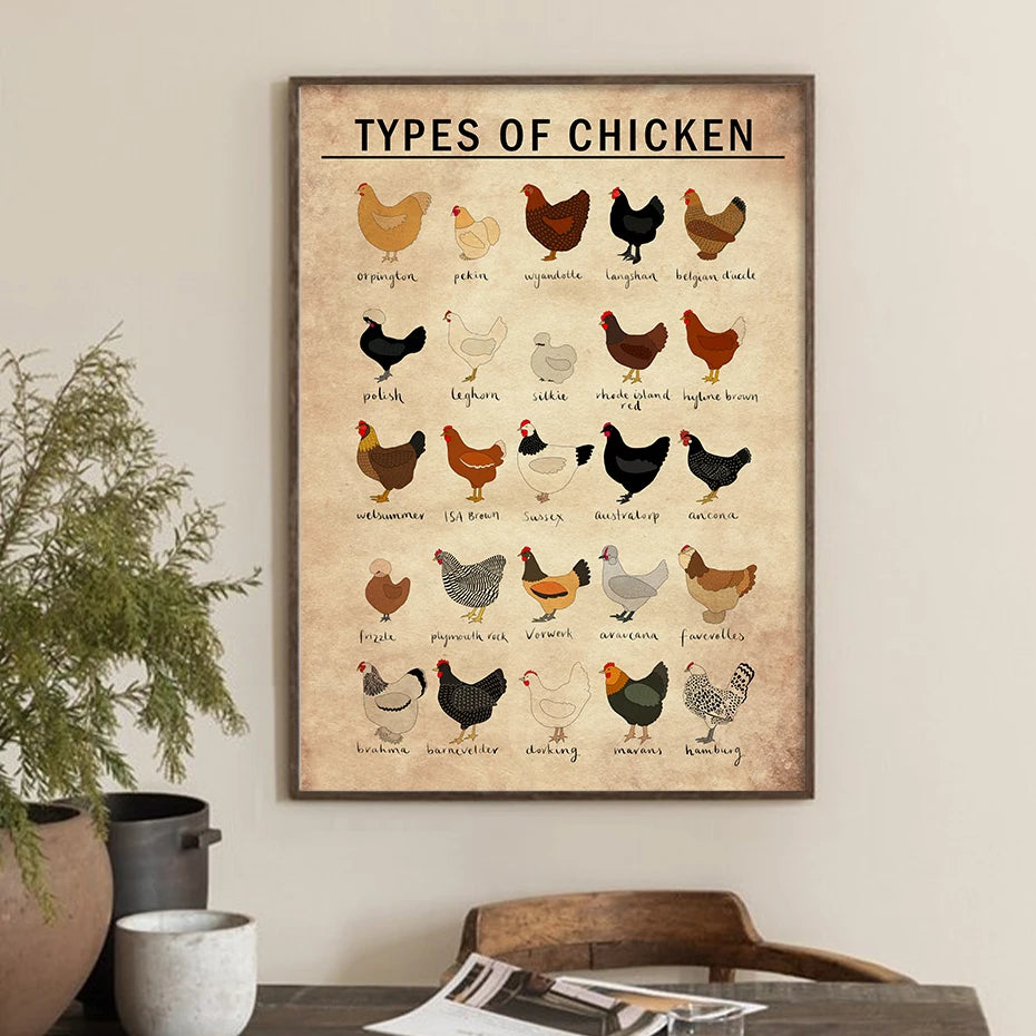 1PC Educational Chickens Breeds Chart of Types Brown Poster Wall Art Canvas Painting Print Pictures Living Room Home Farm Decor - NICEART