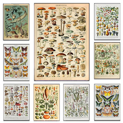 Vintage Classic Wall Art Plants Mushroom Medicine Flower Insect Butterfly Vegetable Pumpkin Carrot Canvas Oil Posters And Prints - NICEART