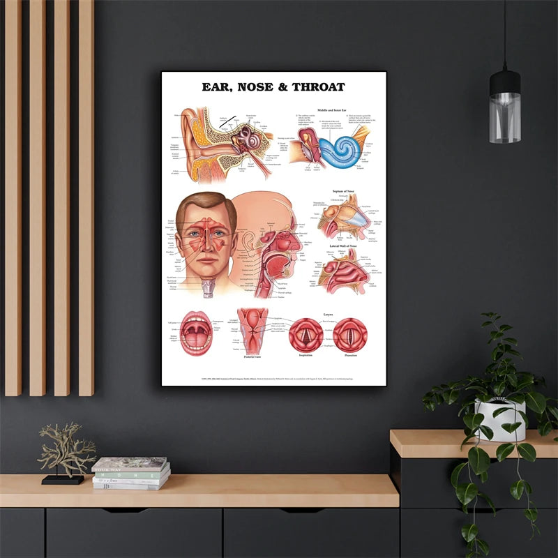 Human Body science school education TRIGGER POINTS CHART INFORMATIONAL ANATOMY Decoration Art Decor Painting Canvas Poster - NICEART