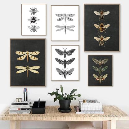 Moth Nature Insect Prints Vintage Poster Home Wall Decor , Animal Educational Picture Canvas Painting Kids Room Art Decoration - NICEART