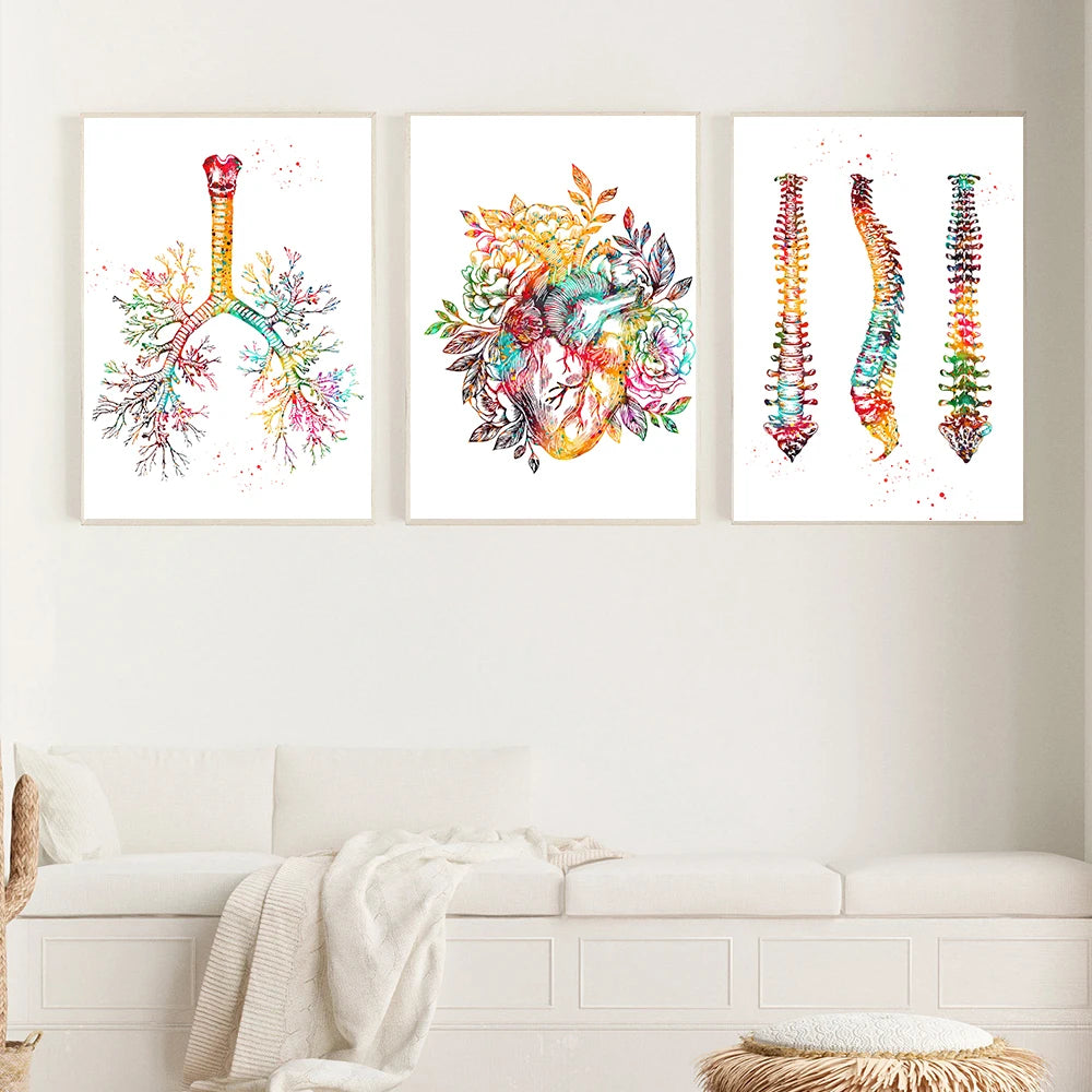 Human Anatomy Muscles System Wall Art Canvas Painting Posters And Prints Body Map Wall Pictures Medical Education Home Decor - NICEART