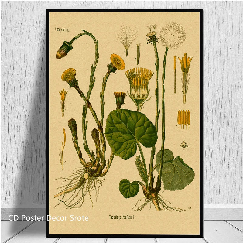 Botanical Flower Poster Medicinal Plants Study Kraft Paper Prints Posters Vintage Home Room Decor Aesthetic Art Wall Paintings - NICEART