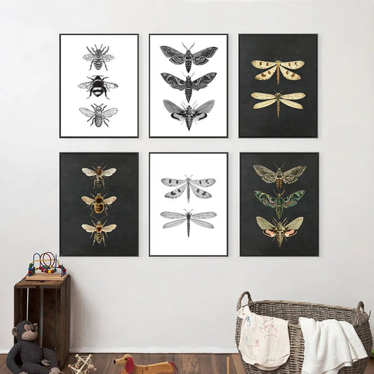 Moth Nature Insect Prints Vintage Poster Home Wall Decor , Animal Educational Picture Canvas Painting Kids Room Art Decoration - NICEART