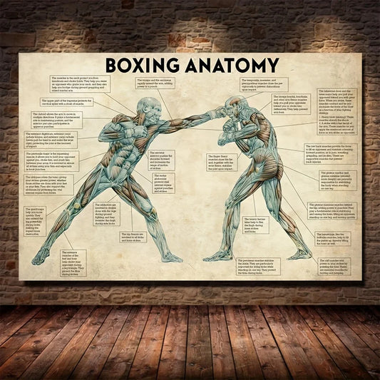 Vintage Boxing Body Anatomy Posters and Prints Wall Art Canvas Painting Boxing Lover Gift for Gym Room Cuadros Home Decoration - NICEART