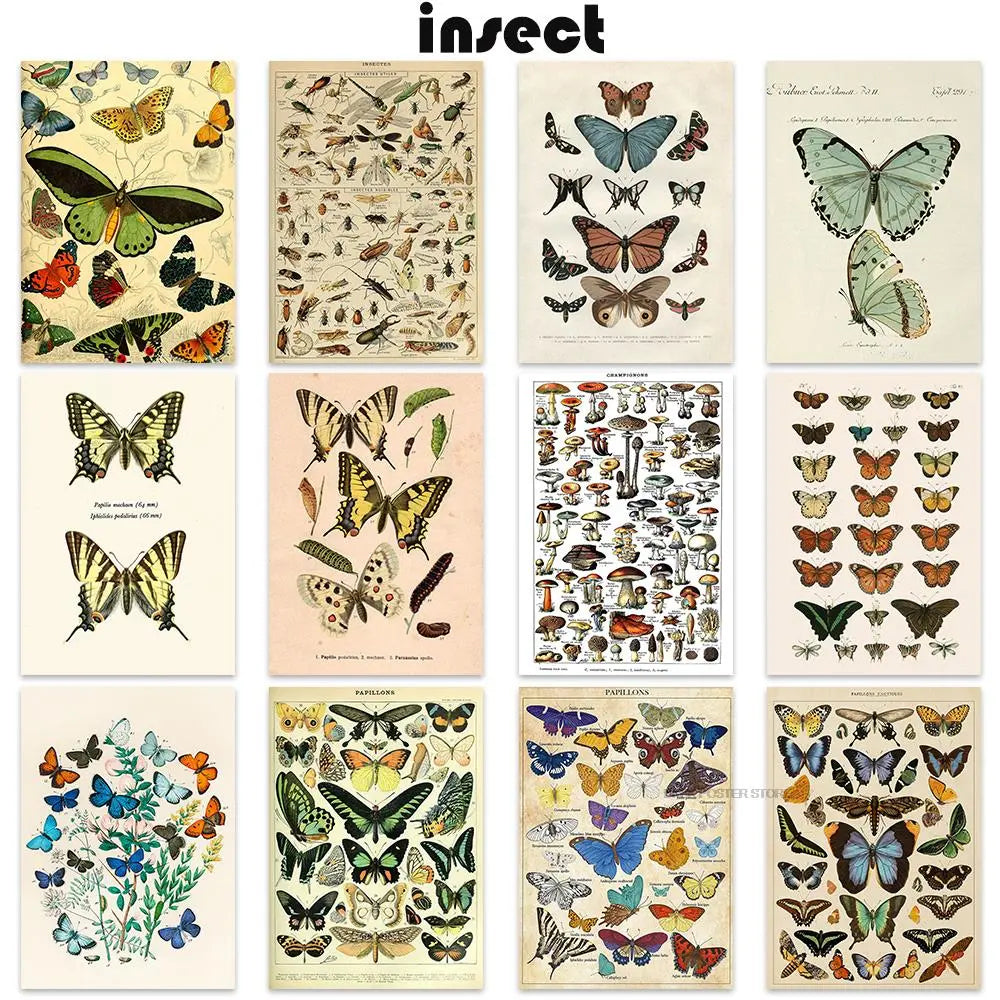 Botanical Educational Poster Butterfly Insect Poster Living Room Posters Fruit Birds Fish Animal Posters Bedroom Cafe Painting - NICEART