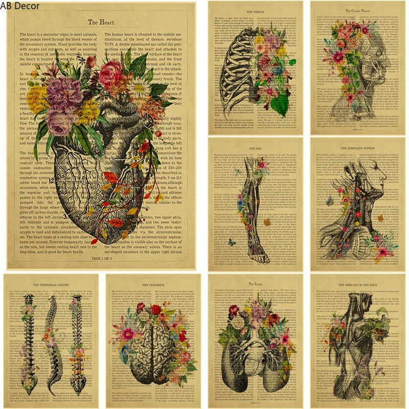 Human Heart/Lungs/Thorax/Cerebrum Anatomy with Flower and Description Posters Prints Retro Home Medical Decor Art Wall Painting - niceart