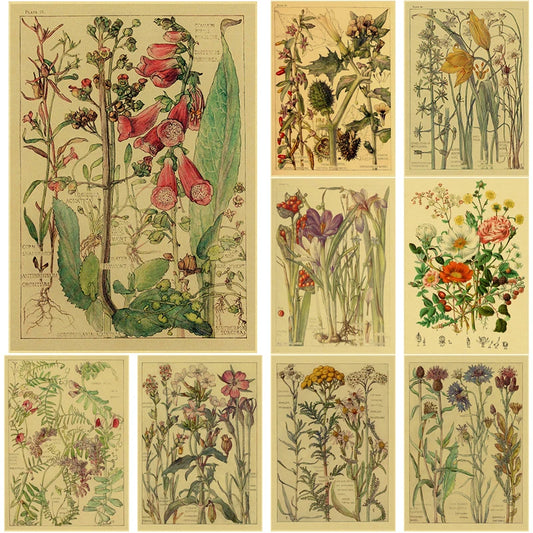 Retro Wild Flower Poster Botanical Illustrations Kraft Paper Prints Vintage Home Room Cafe Bar Art Wall Decor Aesthetic Painting - niceart