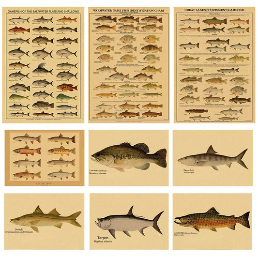 Insects Arthropodes Poster Marine Fishs Kraft Paper Prints DIY Vintage Home Room Bar Cafe Decor Aesthetic Art Wall Painting - niceart