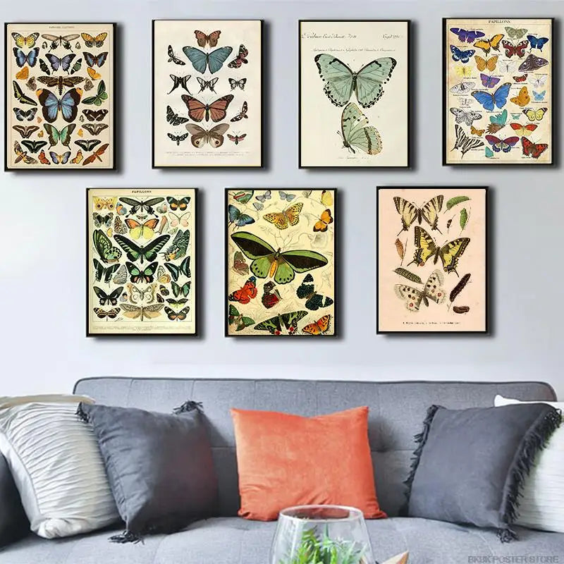 Botanical Educational Poster Butterfly Insect Poster Living Room Posters Fruit Birds Fish Animal Posters Bedroom Cafe Painting - NICEART
