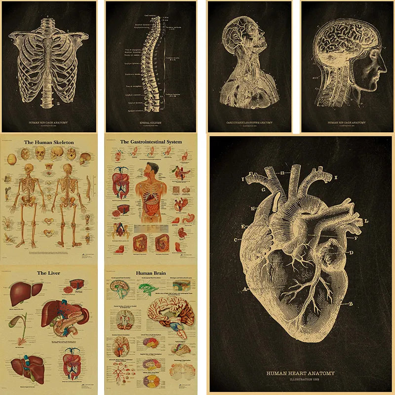 Anatomical Skeleton Chalkboard Posters Kraft Paper Posters Vintage Home  Medicine Student Decor Medical Art Wall Painting Poste - NICEART