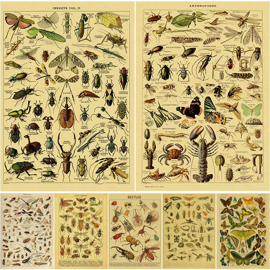 Insects Arthropodes Poster Butterfly Beetles Kraft Paper Prints DIY Vintage Home Room Bar Cafe Decor Aesthetic Art Wall Painting - niceart