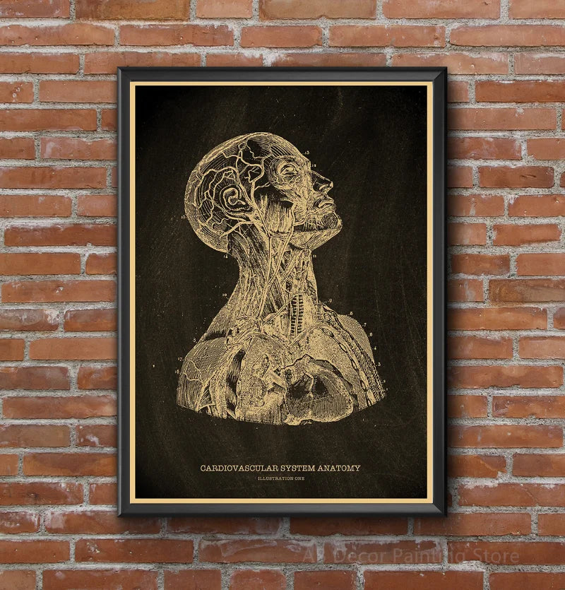 Buy Three Get Four Anatomy Chalkboard Poster Prints Body Parts Heart Hand Foot Drawing Vintage Home Room Art Wall Decor Painting - NICEART