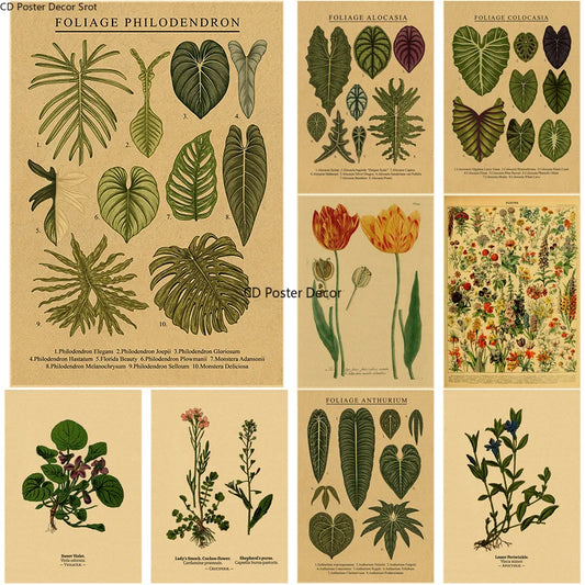 Botanical Illustration Poster Plant Leaf Flower Kraft Paper Posters Vintage Home Room Bar Cafe Decor Aesthetic Art Wall Painting - NICEART