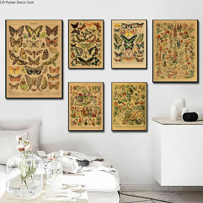Butterfly Insect Flower Mushroom Poster Botanical Educational Kraft Paper DIY Vintage Home Room Bar Cafe Decor Art Wall Painting - NICEART