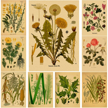 Botanical Flower Poster Medicinal Plants Study Kraft Paper Prints Posters Vintage Home Room Decor Aesthetic Art Wall Paintings - NICEART