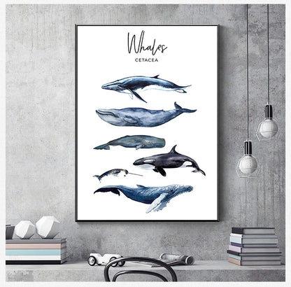 Animal Art Print Education Wall Picture Nordic Kid Baby Bedroom Decor Nautical Sea Nursery Painting Whale Shark Canvas Poster - NICEART