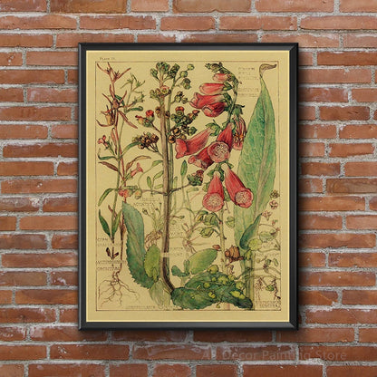 Retro Wild Flower Poster Botanical Illustrations Kraft Paper Prints Vintage Home Room Cafe Bar Art Wall Decor Aesthetic Painting - niceart