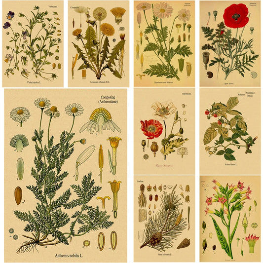 Retro Botanical Prints Posters Kraft Paper Plant Flower Illustration Vintage Home Study Room Art Wall Decor Aesthetic Painting - NICEART