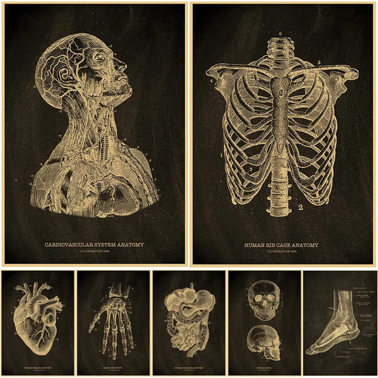 Buy Three Get Four Anatomy Chalkboard Poster Prints Body Parts Heart Hand Foot Drawing Vintage Home Room Art Wall Decor Painting - NICEART